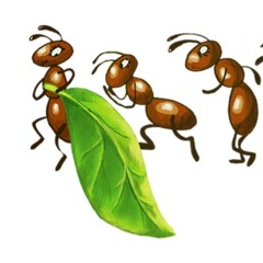 Fourmis X Jiggy Bow  {mash up}