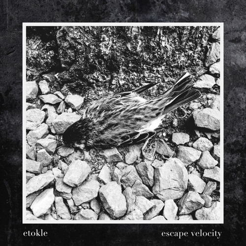 EVERY GHOST KNOWS ITS SHAPE