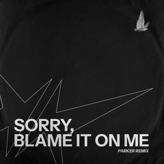 Akon - Sorry, Blame It On Me (Parker Remix)
