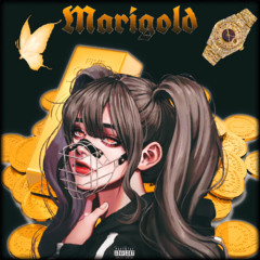 Marigold (Prod. fl0x1c)