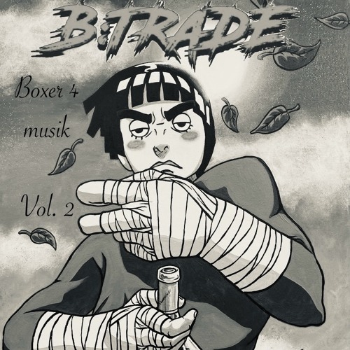 Boxer 4 Musik Vol. 2