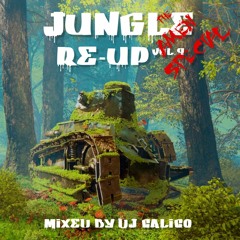 Jungle Re - Up Vol 8  The Amen Special Mixed By Calico
