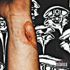 Languish Prod Aureola