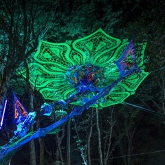 Dark.Psy.Prog.Forest