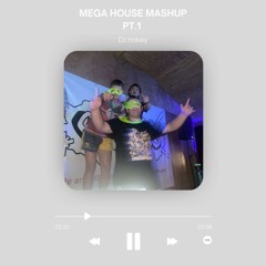 Mega House Mashup