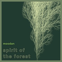 Spirit Of The Forest