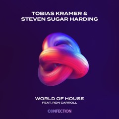 Tobias Kraemer, Steven Sugar Harding, Ron Carroll - World Of House (Radio Edit)