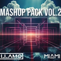 Winter 2024 | Dre Llamo & Miami Mike EDM Mashup Pack Vol. 2