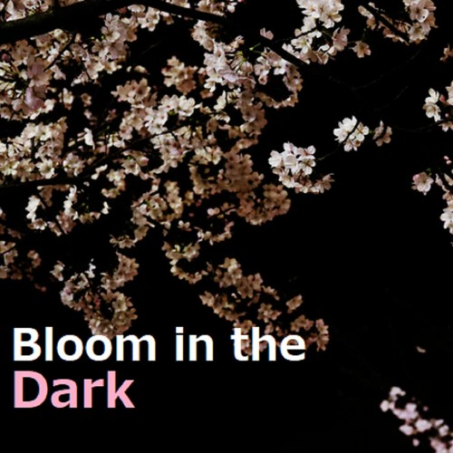 Bloom In The Dark