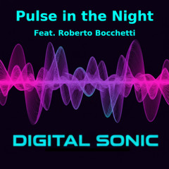 Pulse in the Night