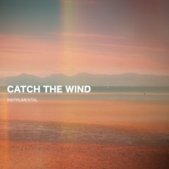 Catch the Wind Instrumental