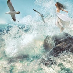 Take Flight