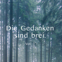 Die Gedanken sind brei.  Vol.3