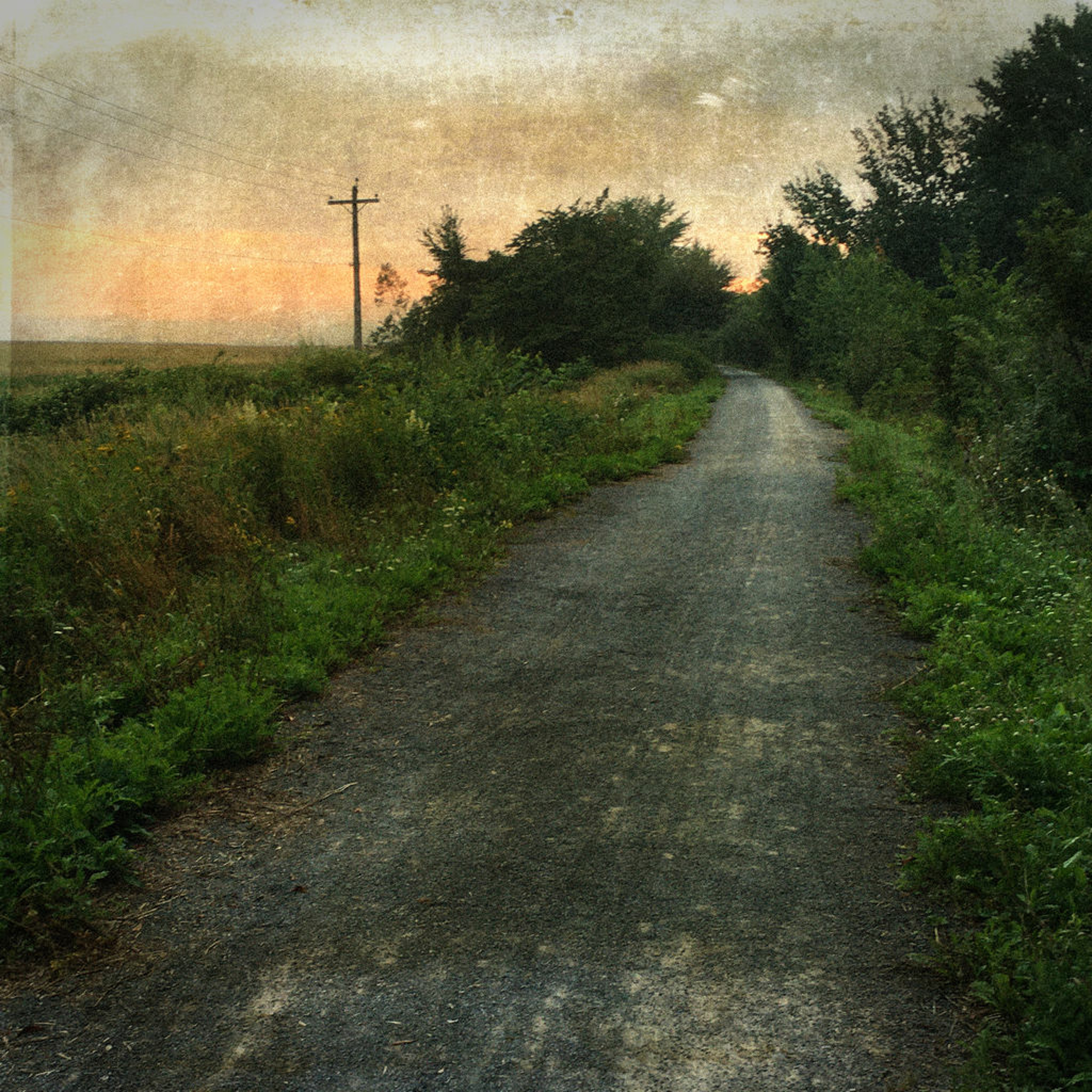 Theraphonia - A Morning in Wolfville episode artwork