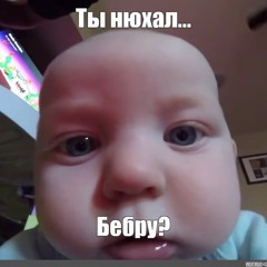 nv 24 нояЯбрь