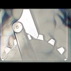 Mechanics of madness