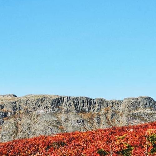 HK_Free_Dance_Sets_62