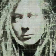 Real Ice Flow (Snippet)