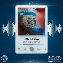 تلاوة من سورة الزمر | م. أحمد علاء