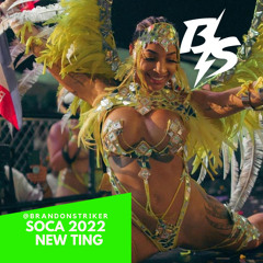 @BRANDONSTRIKER - SOCA 2022 NEW TING MIX