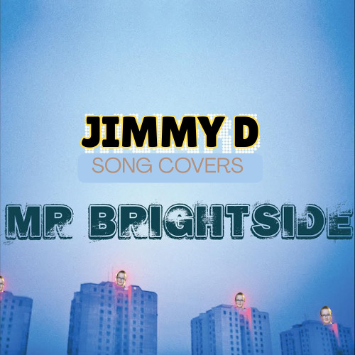 Mr Brightside (SONG COVER)