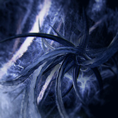 Conscious
