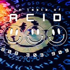 THE TASTE OF ACID techno 2025 | vinyl mix set | PATTERN #400