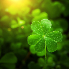 LUCKY (im sick)