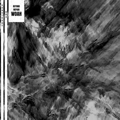 BEYOND REPAIR - WOAH