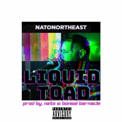NATO Northeast - Liquid Toad