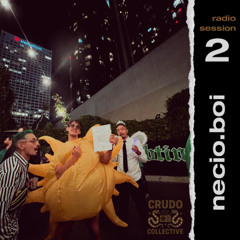 crudo collective radio session 2 - live @ scout vintage 05.11.25 - necio.boi