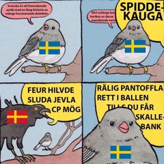 Spiddekauga