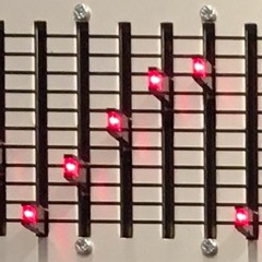 February 8, 2020. Brooklyn, NY.