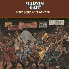 Marvin Gaye - Mercy Mercy/I Want You