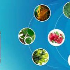 Prostadine On Amazon:- (Latest News) Real User Experiences And This Prostate Health Supplement!