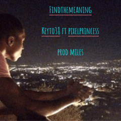 findthemeaning ft pixelprincess prod miles