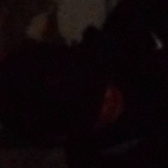 ||| N.J. ||| [Free DL]