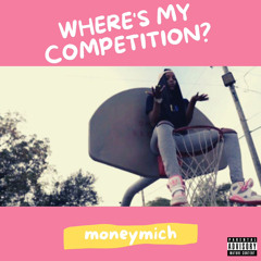 MoneyMich - where's my competition