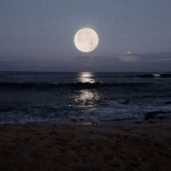 imiss you   ( vinnl)