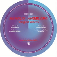 Roberto Manolio / Giuseppe Angeloro -  Tangled Waves [Bosco054 - Bosconi Records]