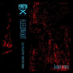 LUNATIC RETURN (FULL TAPE)