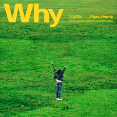 Why (feat. Hoody)