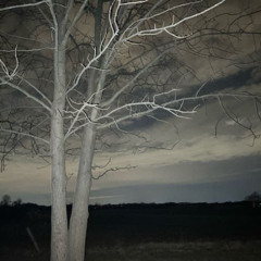 Night Walker (neverforever)