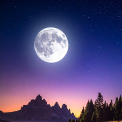 In The Night