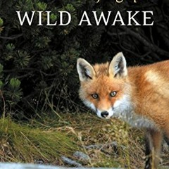 Download pdf Wild Awake: Alone, Offline and Aware in Nature by  Vajragupta