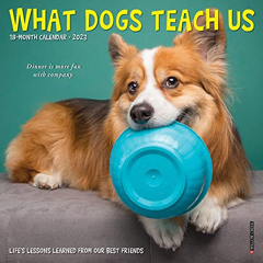 [Free] PDF 📒 What Dogs Teach Us 2023 Mini Wall Calendar by  Willow Creek Press PDF E