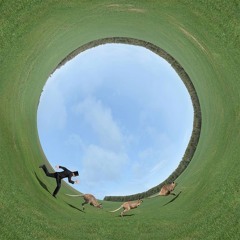roundaround +++ Seowon