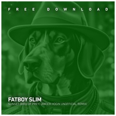 FREE DOWNLOAD: Fatboy Slim - Sunset (Bird Of Prey) (Ander Hogin Unofficial Remix)