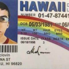 VandaL McLovin