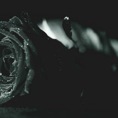 Wake Me At The End Of June